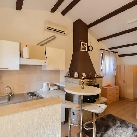 Appartement Studio In Pjescana Uvala/istrien 17324 *